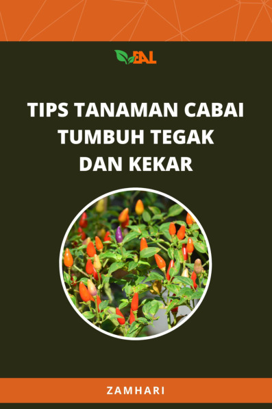 Sampul buku Tips Tanaman Cabai T...